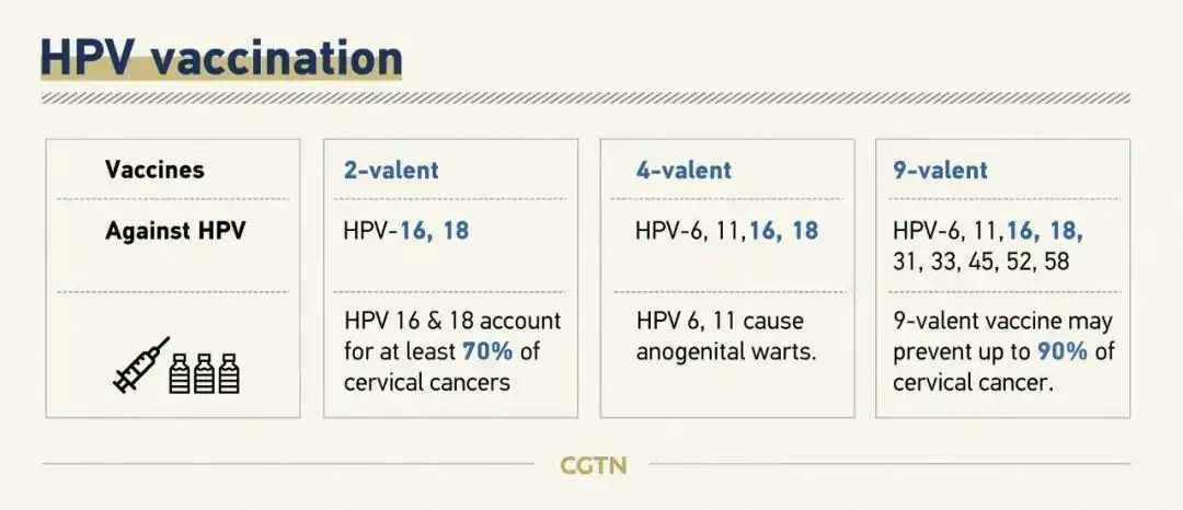 ӢHPV/ã2/4/9ۿ+ֹԣ