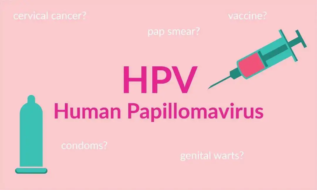 ӢHPV/ã2/4/9ۿ+ֹԣ