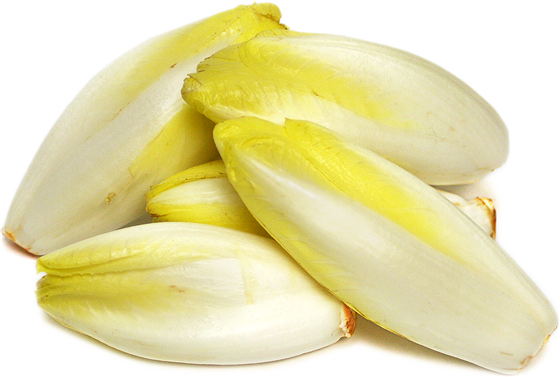  | Endive