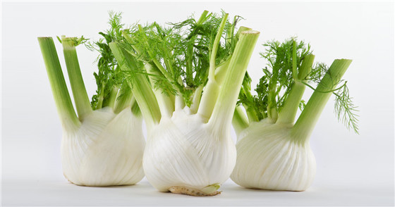  | Fennel Bulb