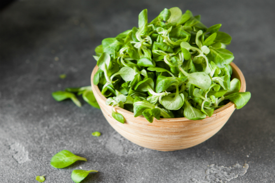 ݫ | Lambs Lettuce