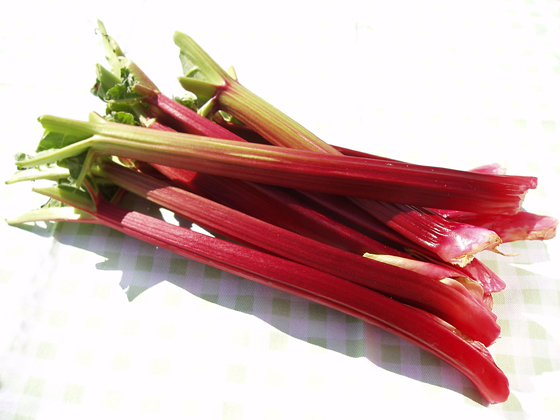  | Rhubarb