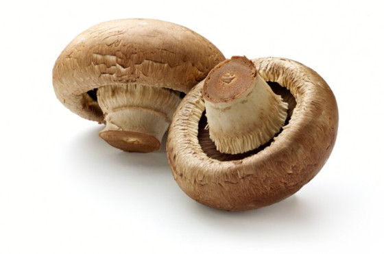 ĢChestnut Mushrooms
