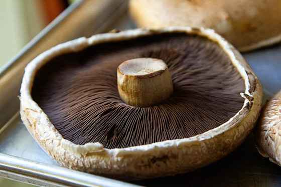 عPortobello Mushrooms