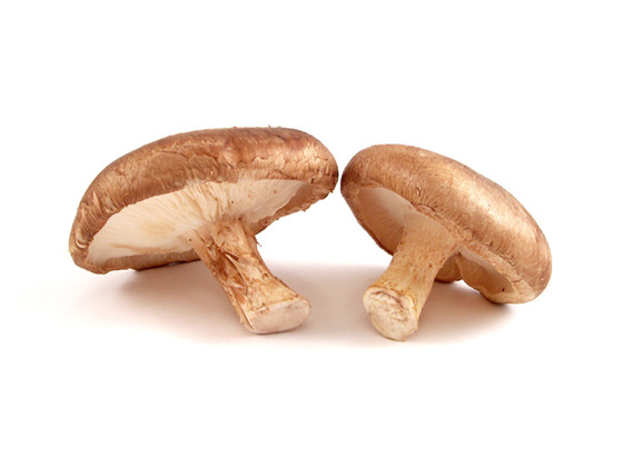 㹽Shiitake Mushrooms