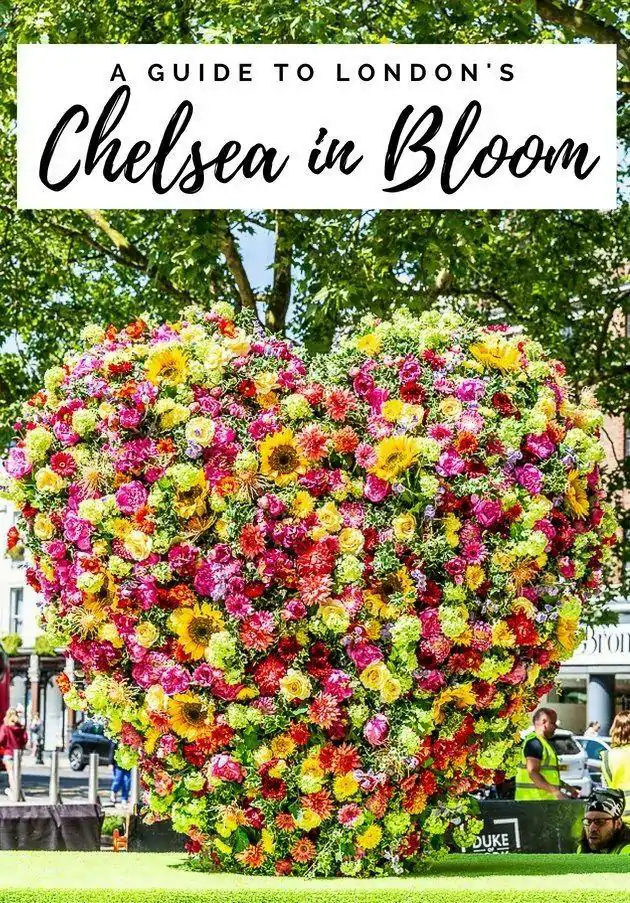 жŻ Chelsea in Bloom չ蹺Ʊ˿