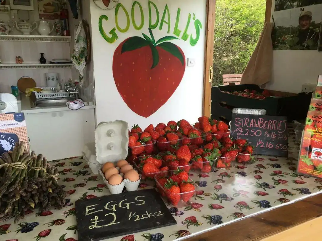 英国草莓季到了！去这些草莓采摘农场摘草莓吧！