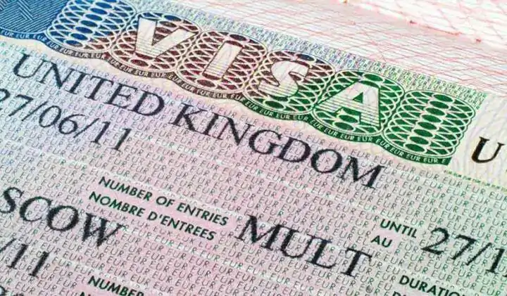 英国限制签证申请!致命真菌或蔓延至英国!特拉法加广场举办首届NBA篮球赛!
