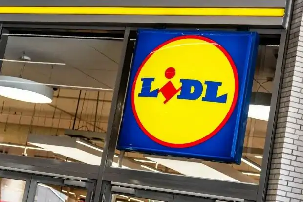 ׶ʮΣվ㡱ع⣡Lidlϵͳش£Ӣøƻ
