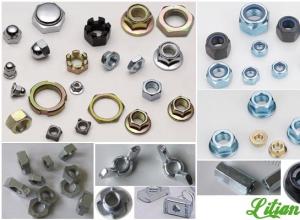 Steel Nuts